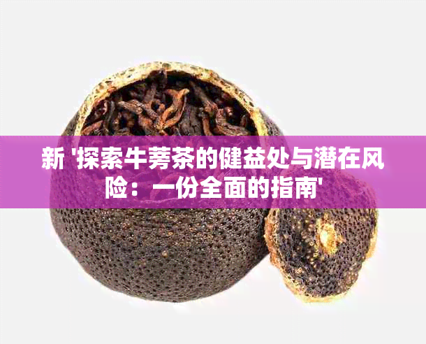 新 '探索牛蒡茶的健益处与潜在风险：一份全面的指南'