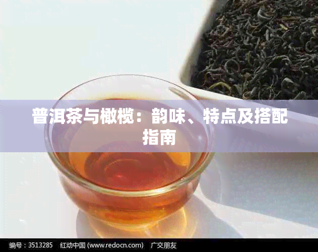 普洱茶与橄榄：韵味、特点及搭配指南