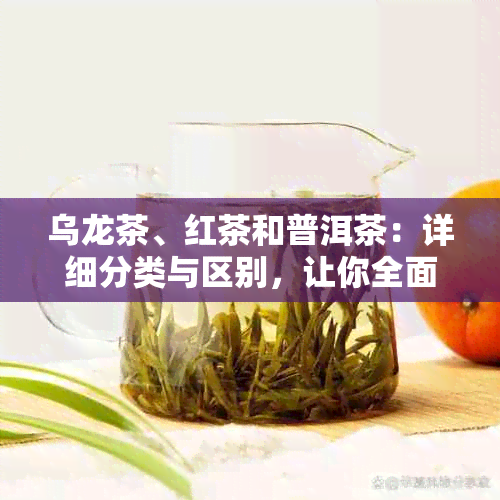 乌龙茶、红茶和普洱茶：详细分类与区别，让你全面了解三种茶叶