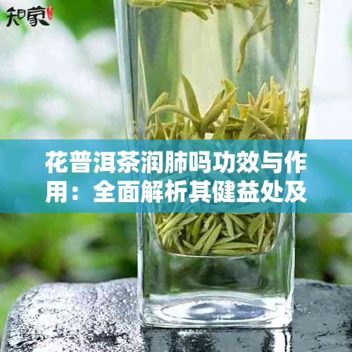 花普洱茶润肺吗功效与作用：全面解析其健益处及口感体验