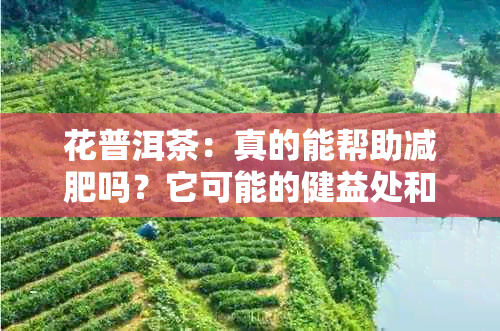 花普洱茶：真的能帮助减肥吗？它可能的健益处和潜在副作用解析