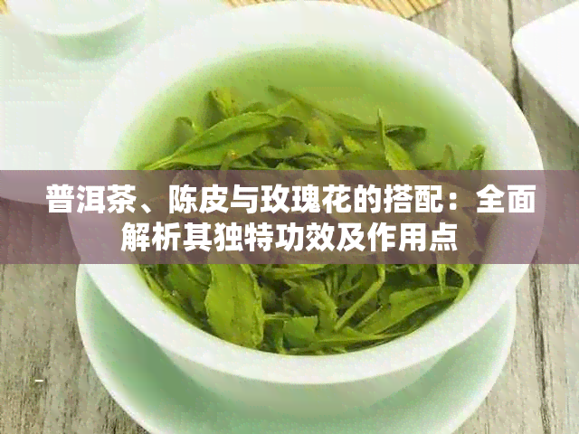 普洱茶、陈皮与玫瑰花的搭配：全面解析其独特功效及作用点