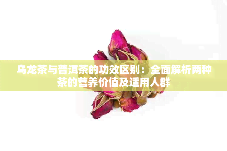 乌龙茶与普洱茶的功效区别：全面解析两种茶的营养价值及适用人群