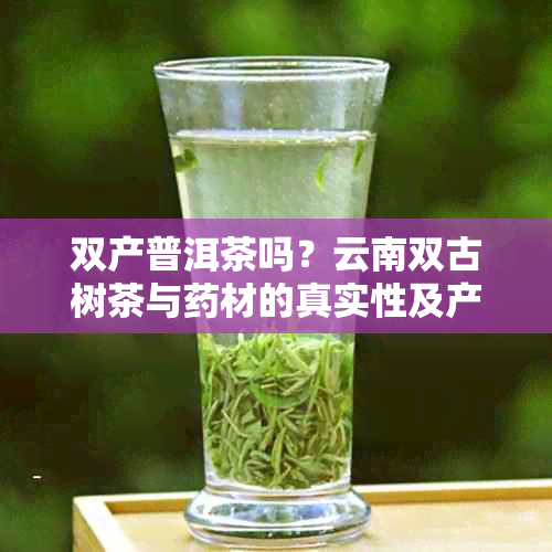 双产普洱茶吗？云南双古树茶与材的真实性及产地解析