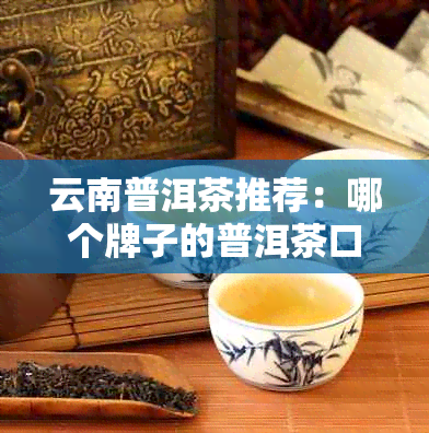 云南普洱茶推荐：哪个牌子的普洱茶口感？