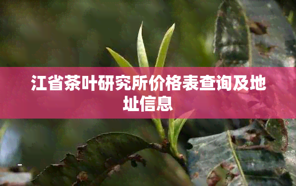 江省茶叶研究所价格表查询及地址信息