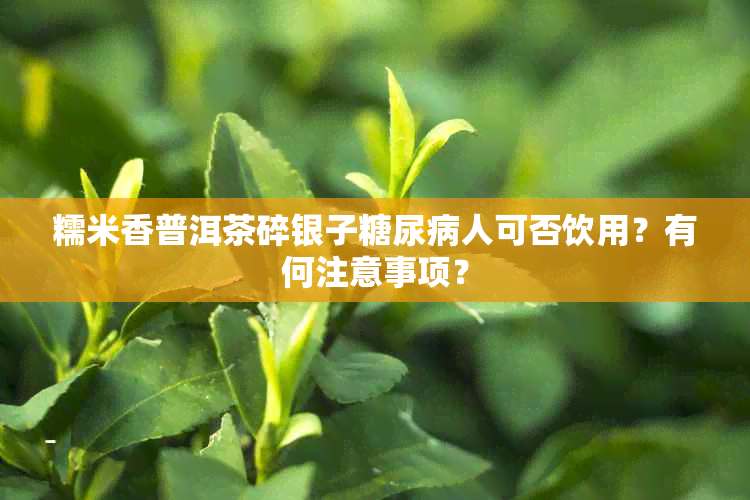 糯米香普洱茶碎银子糖尿病人可否饮用？有何注意事项？