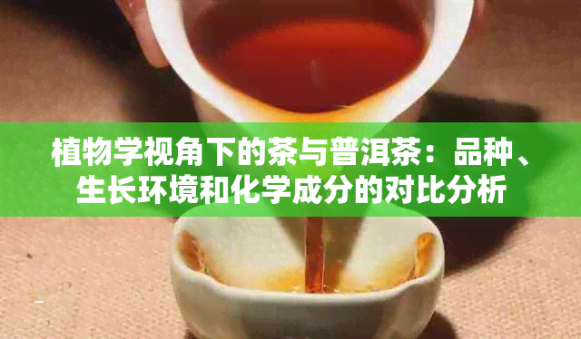 植物学视角下的茶与普洱茶：品种、生长环境和化学成分的对比分析