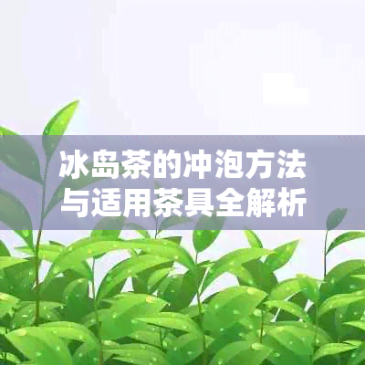 冰岛茶的冲泡方法与适用茶具全解析：如何选择茶具搭配冰岛茶？