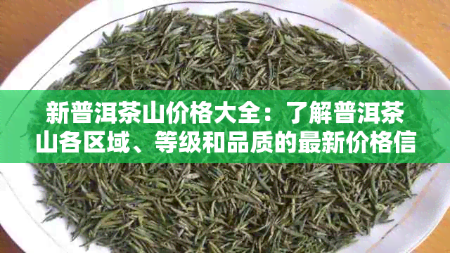 新普洱茶山价格大全：了解普洱茶山各区域、等级和品质的最新价格信息