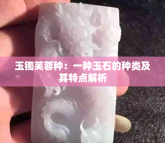 玉镯芙蓉种：一种玉石的种类及其特点解析