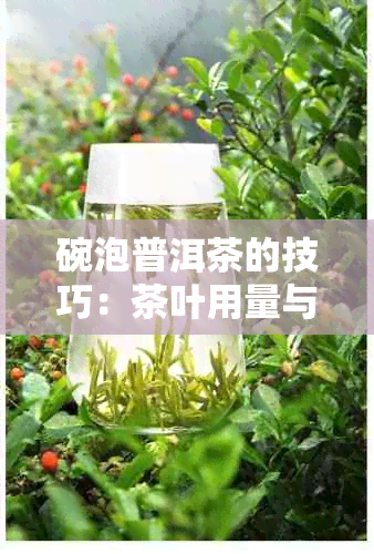 碗泡普洱茶的技巧：茶叶用量与冲泡方法的全面指南