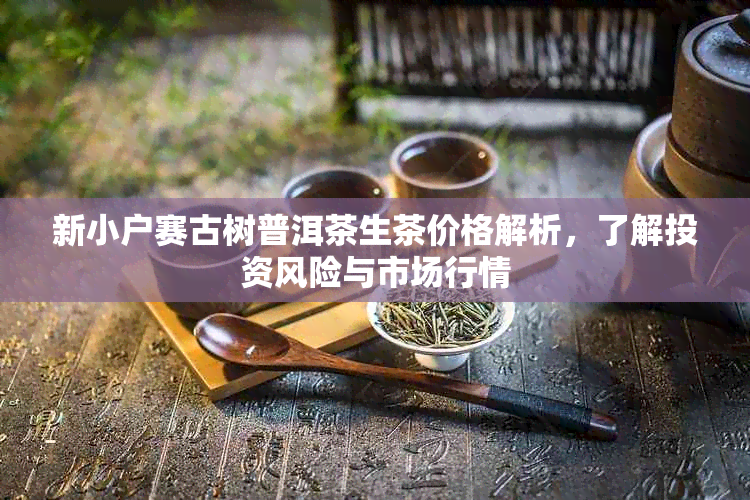 新小户赛古树普洱茶生茶价格解析，了解投资风险与市场行情