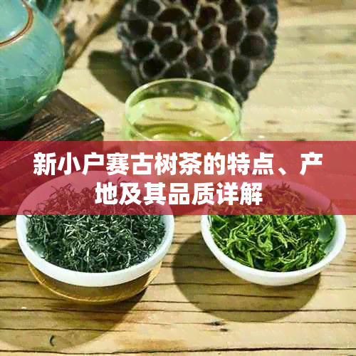 新小户赛古树茶的特点、产地及其品质详解