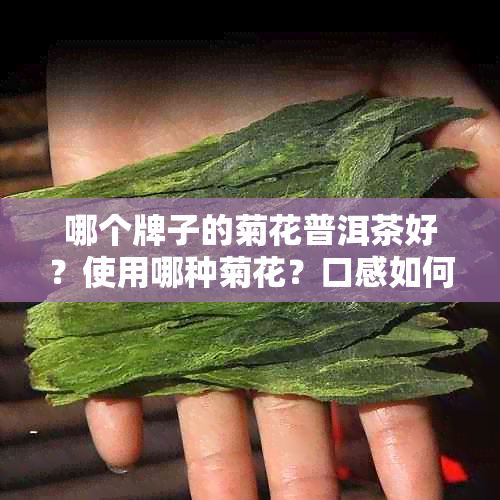 哪个牌子的菊花普洱茶好？使用哪种菊花？口感如何？