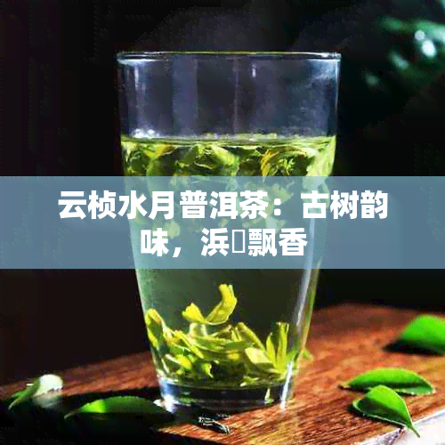 云桢水月普洱茶：古树韵味，浜戞飘香