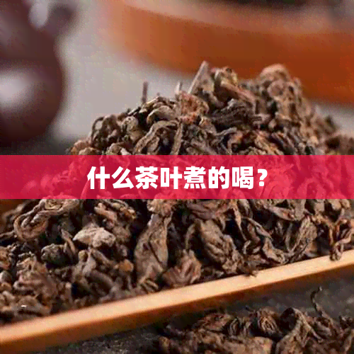 什么茶叶煮的喝？