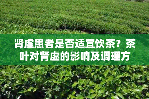 肾虚患者是否适宜饮茶？茶叶对肾虚的影响及调理方法全面解析