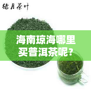 海南琼海哪里买普洱茶呢？多少钱？