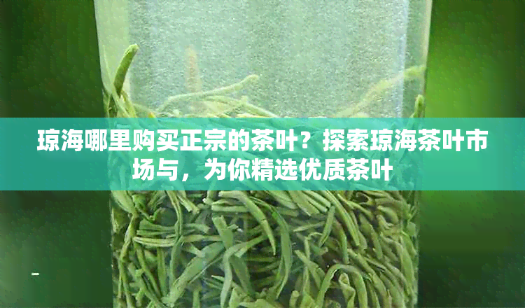 琼海哪里购买正宗的茶叶？探索琼海茶叶市场与，为你精选优质茶叶