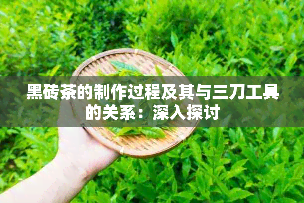 黑砖茶的制作过程及其与三刀工具的关系：深入探讨