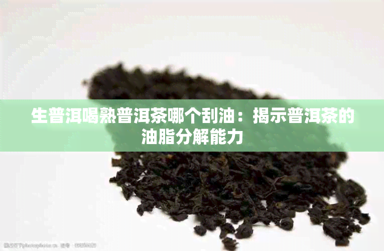 生普洱喝熟普洱茶哪个刮油：揭示普洱茶的油脂分解能力