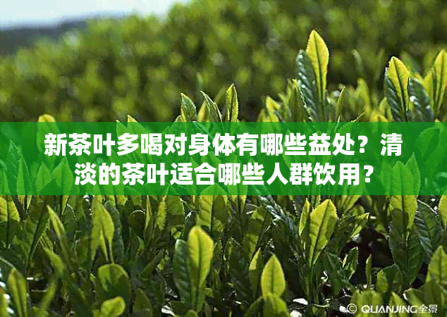 新茶叶多喝对身体有哪些益处？清淡的茶叶适合哪些人群饮用？