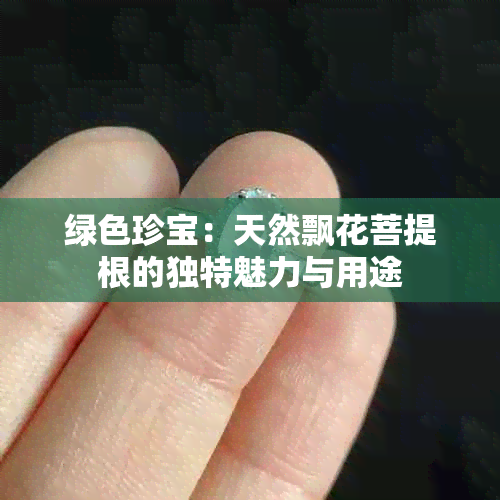 绿色珍宝：天然飘花菩提根的独特魅力与用途