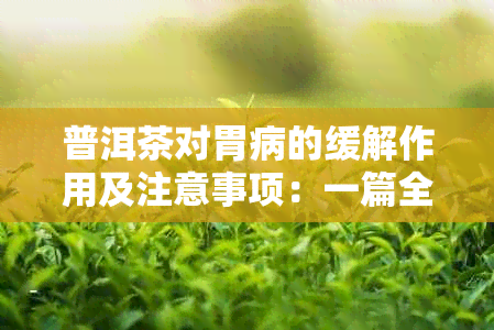 普洱茶对胃病的缓解作用及注意事项：一篇全面的指南