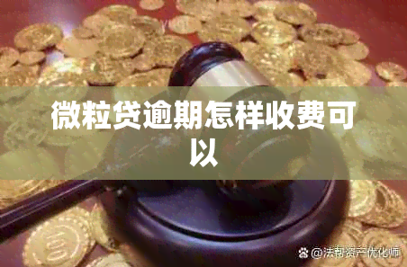 微粒贷逾期怎样收费可以