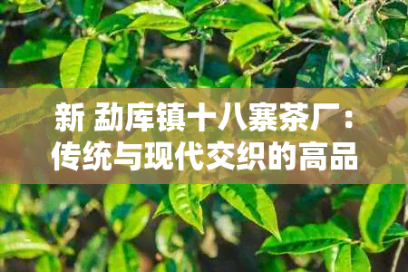 新 勐库镇十八寨茶厂：传统与现代交织的高品质茶叶生产基地