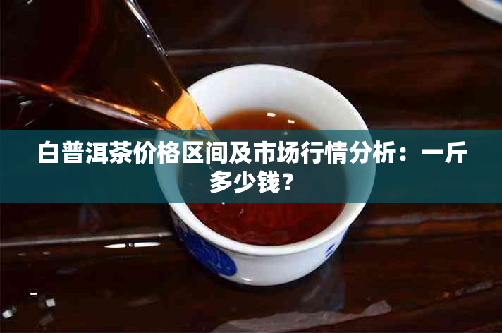 白普洱茶价格区间及市场行情分析：一斤多少钱？