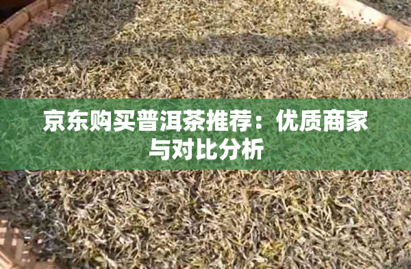 京东购买普洱茶推荐：优质商家与对比分析