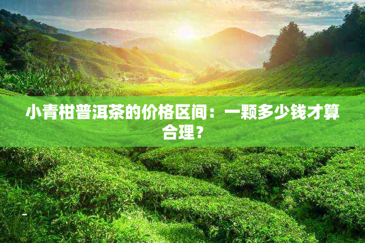 小青柑普洱茶的价格区间：一颗多少钱才算合理？