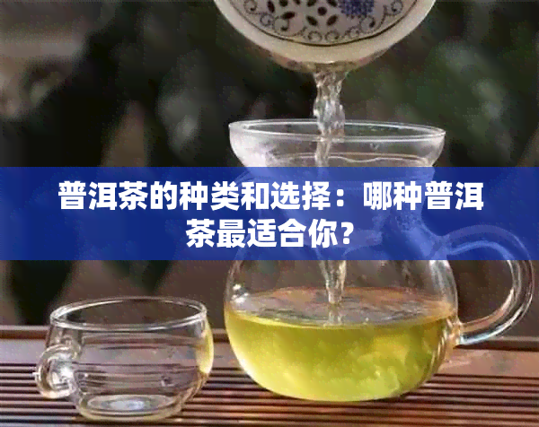 普洱茶的种类和选择：哪种普洱茶最适合你？