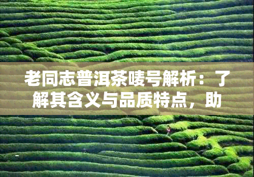 老同志普洱茶唛号解析：了解其含义与品质特点，助您挑选优质茶叶