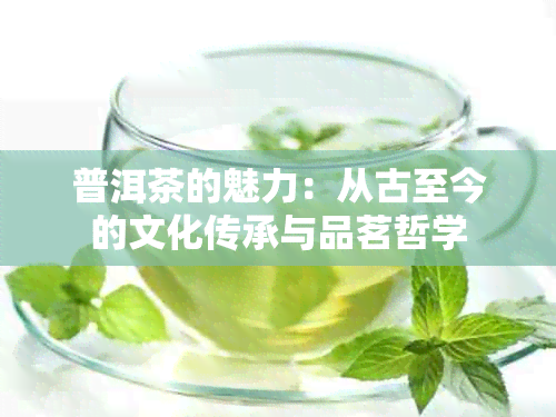 普洱茶的魅力：从古至今的文化传承与品茗哲学