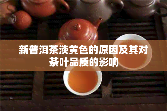 新普洱茶淡黄色的原因及其对茶叶品质的影响