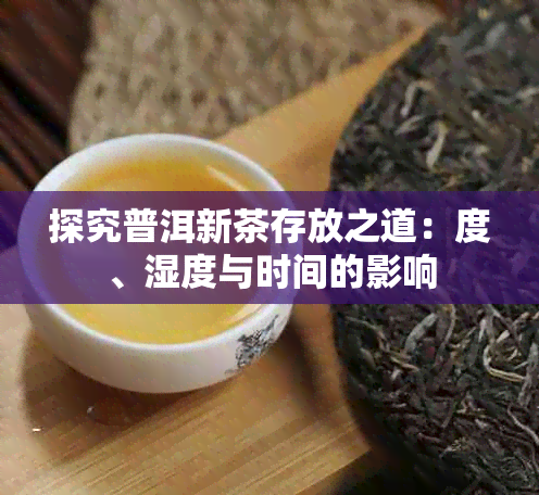 探究普洱新茶存放之道：度、湿度与时间的影响