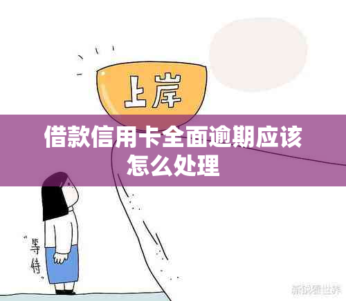 借款信用卡全面逾期应该怎么处理