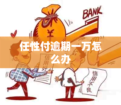 任性付逾期一万怎么办