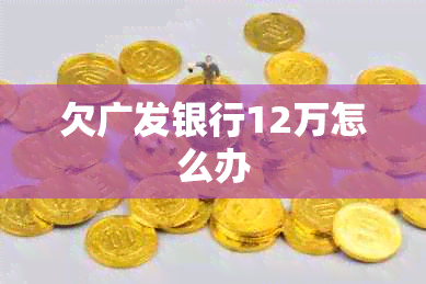 欠广发银行12万怎么办