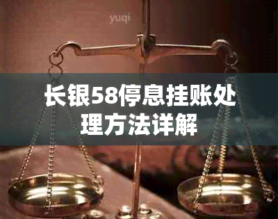 长银58停息挂账处理方法详解