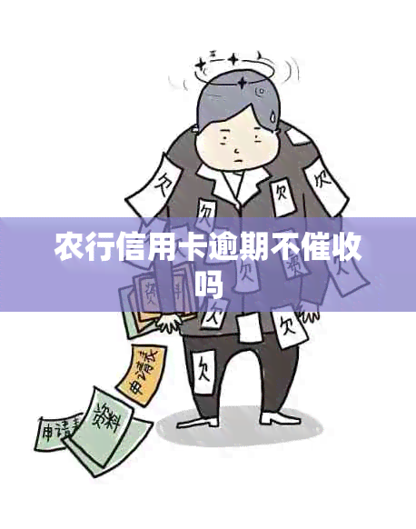 农行信用卡逾期不吗