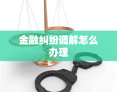 金融纠纷调解怎么办理