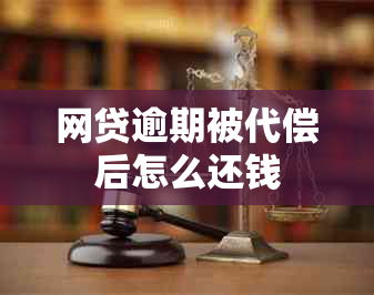 网贷逾期被代偿后怎么还钱