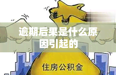 逾期后果是什么原因引起的