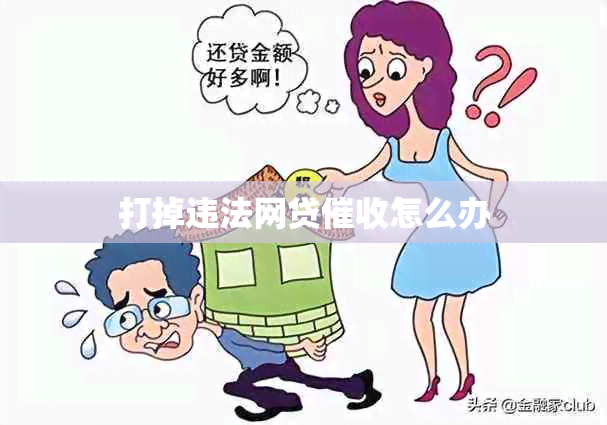 打掉违法网贷怎么办