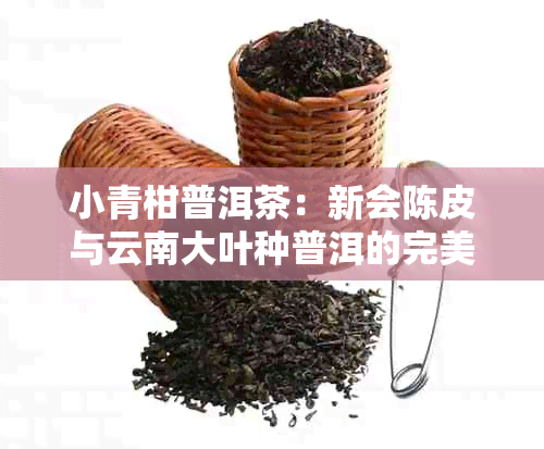 小青柑普洱茶：新会陈皮与云南大叶种普洱的完美结合