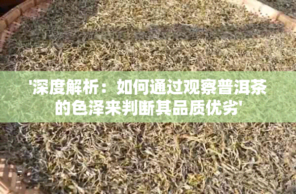 '深度解析：如何通过观察普洱茶的色泽来判断其品质优劣'